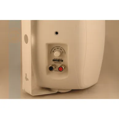 Настенная акустика CVGAUDIO ODF516TW